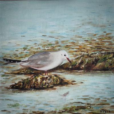 La mouette 40x40 cm 13 09 2024